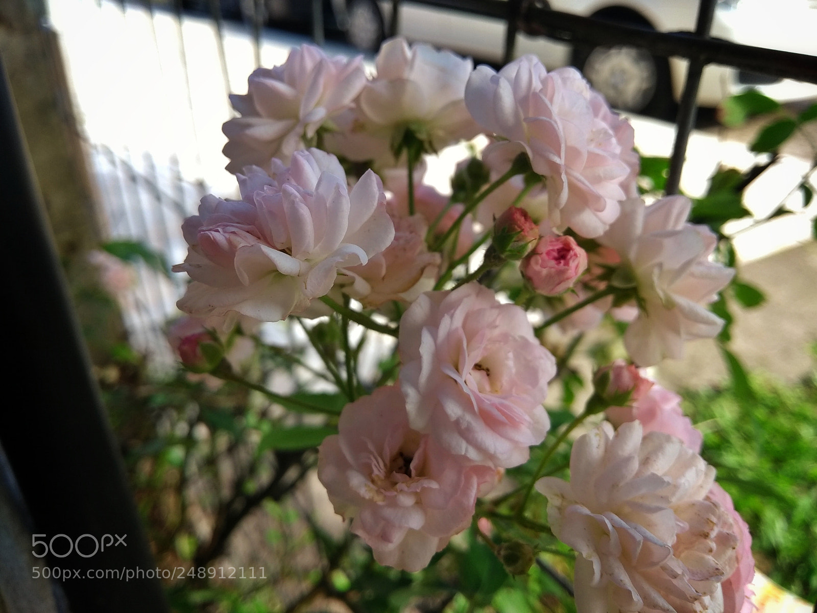Motorola Moto G (5th Gen) sample photo. Untitled photography
