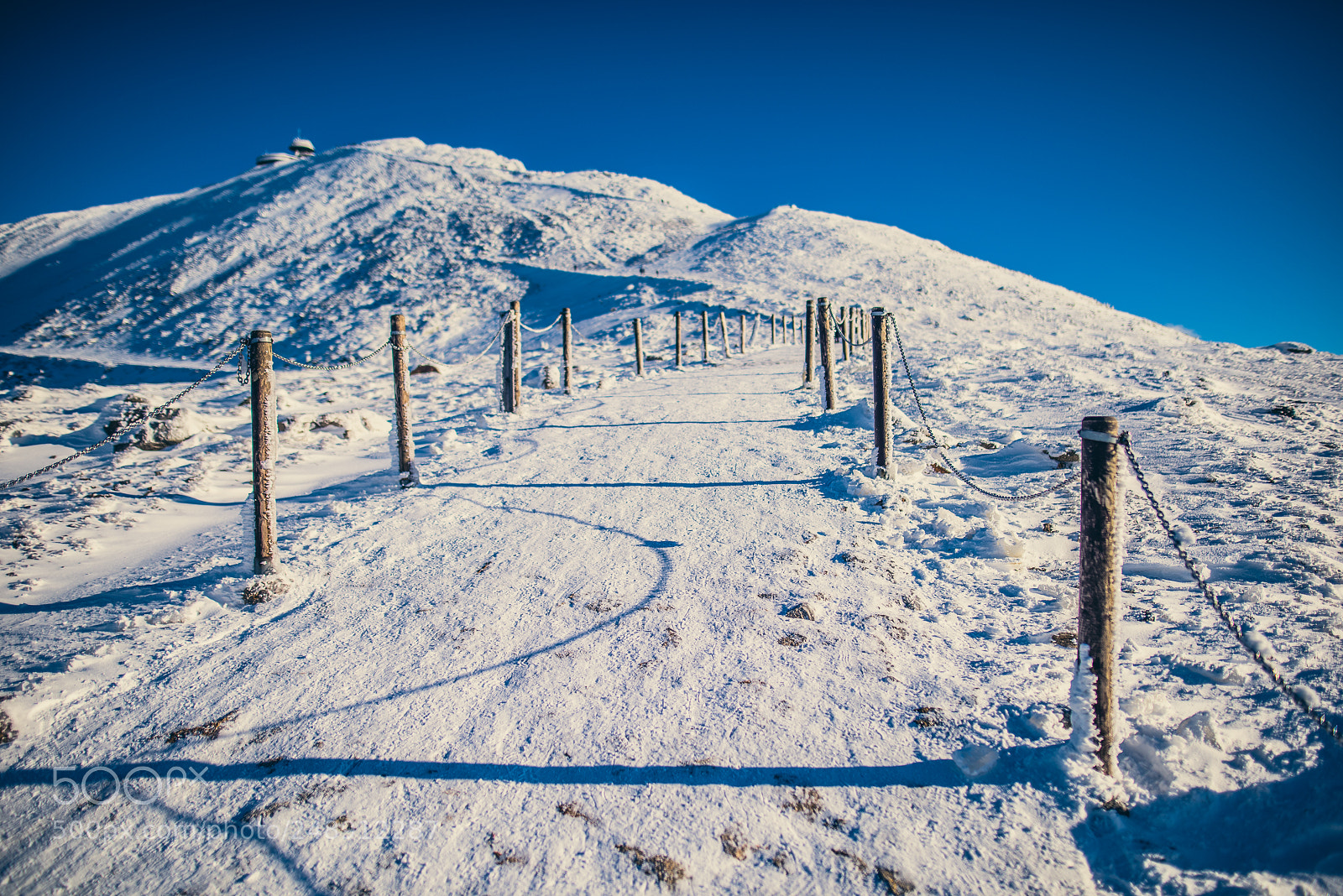 Nikon D810 sample photo. I'm walking in the photography