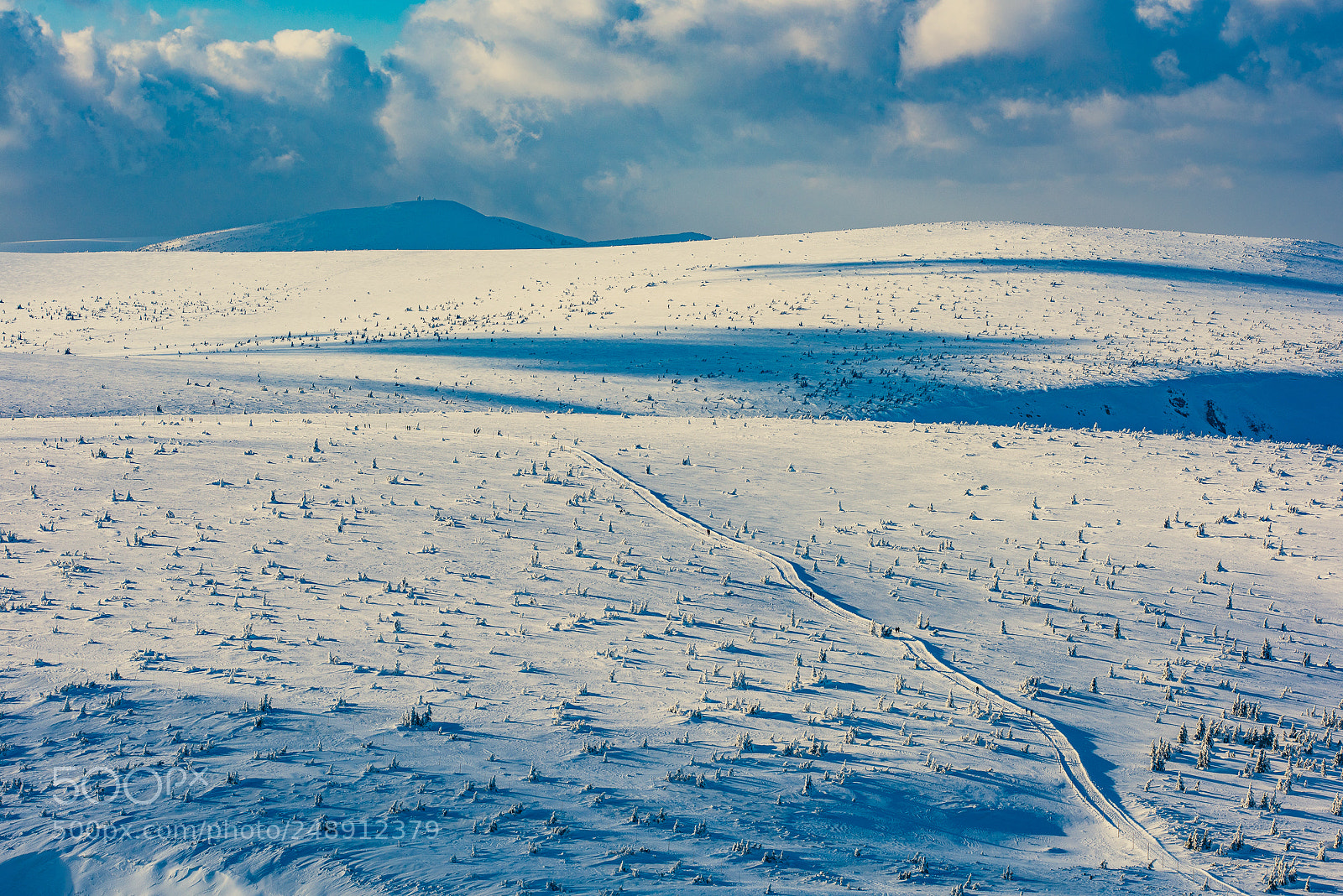 Nikon D810 sample photo. I'm walking in the photography