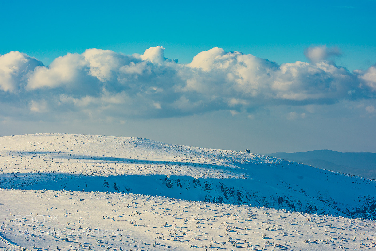 Nikon D810 sample photo. I'm walking in the photography