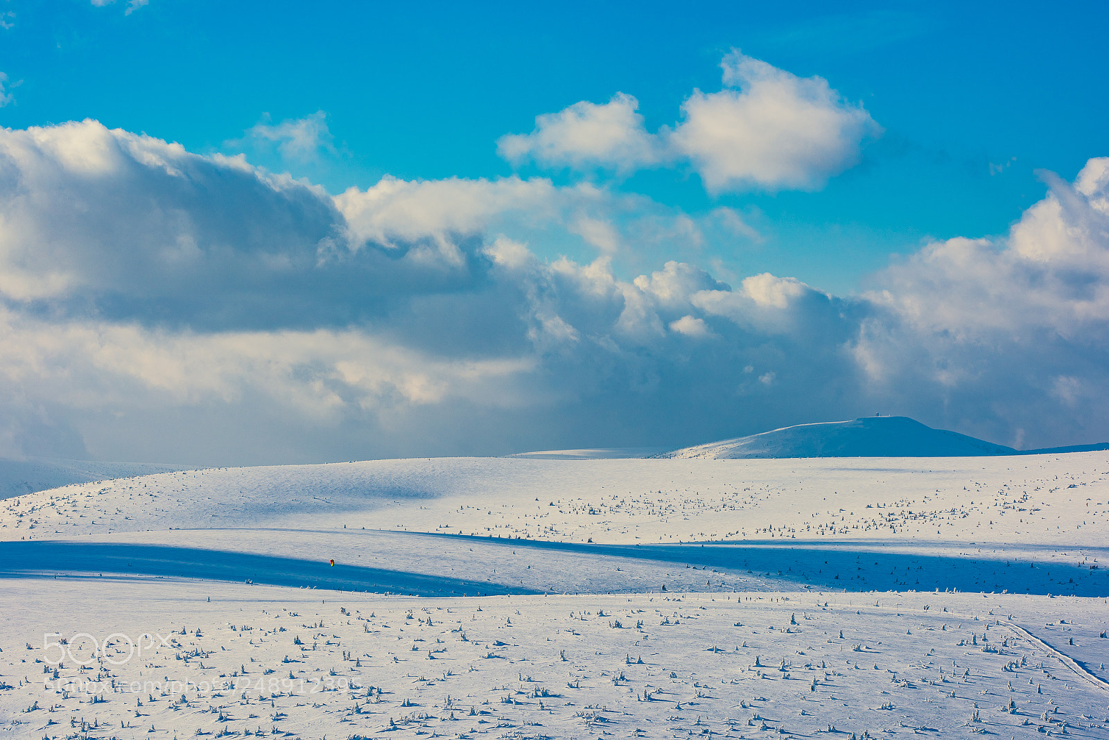 Nikon D810 sample photo. I'm walking in the photography
