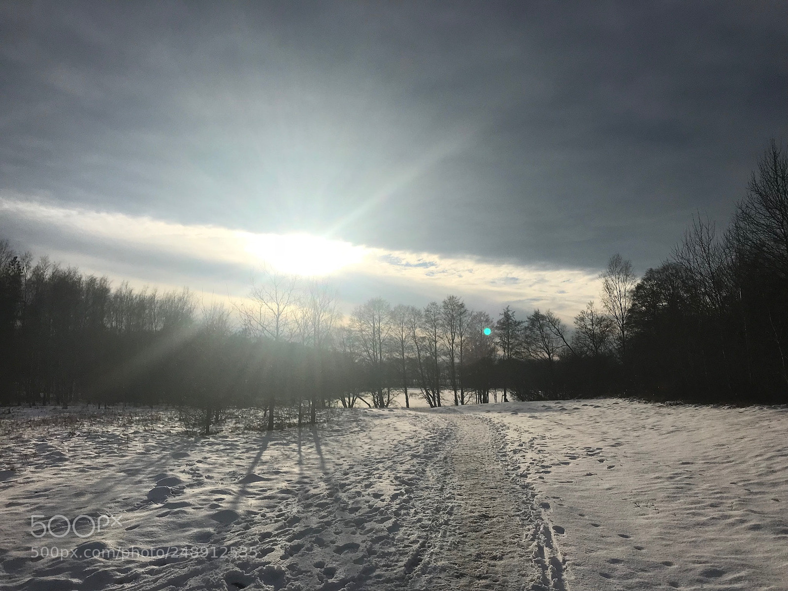 Apple iPhone 7 sample photo. Glänninge photography