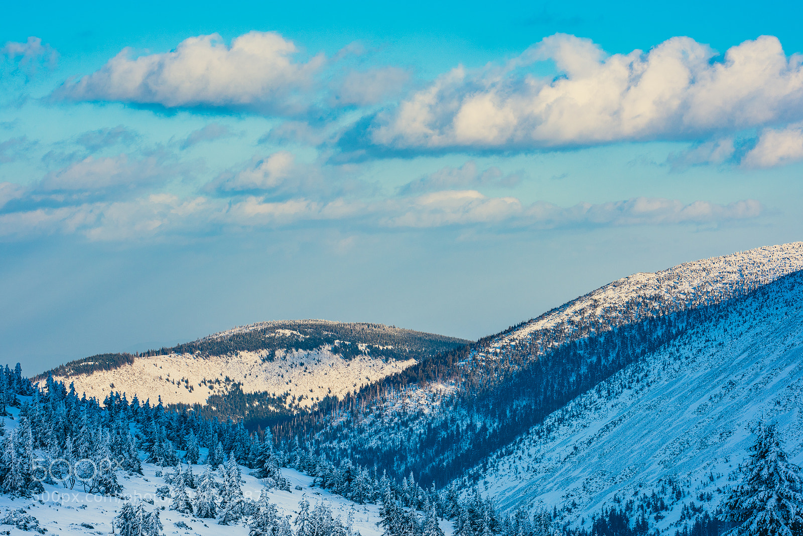 Nikon D810 sample photo. I'm walking in the photography