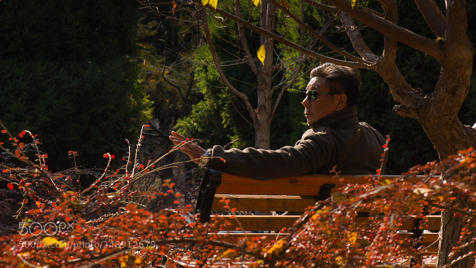 Nikon D800E sample photo. Backlight portrait photography