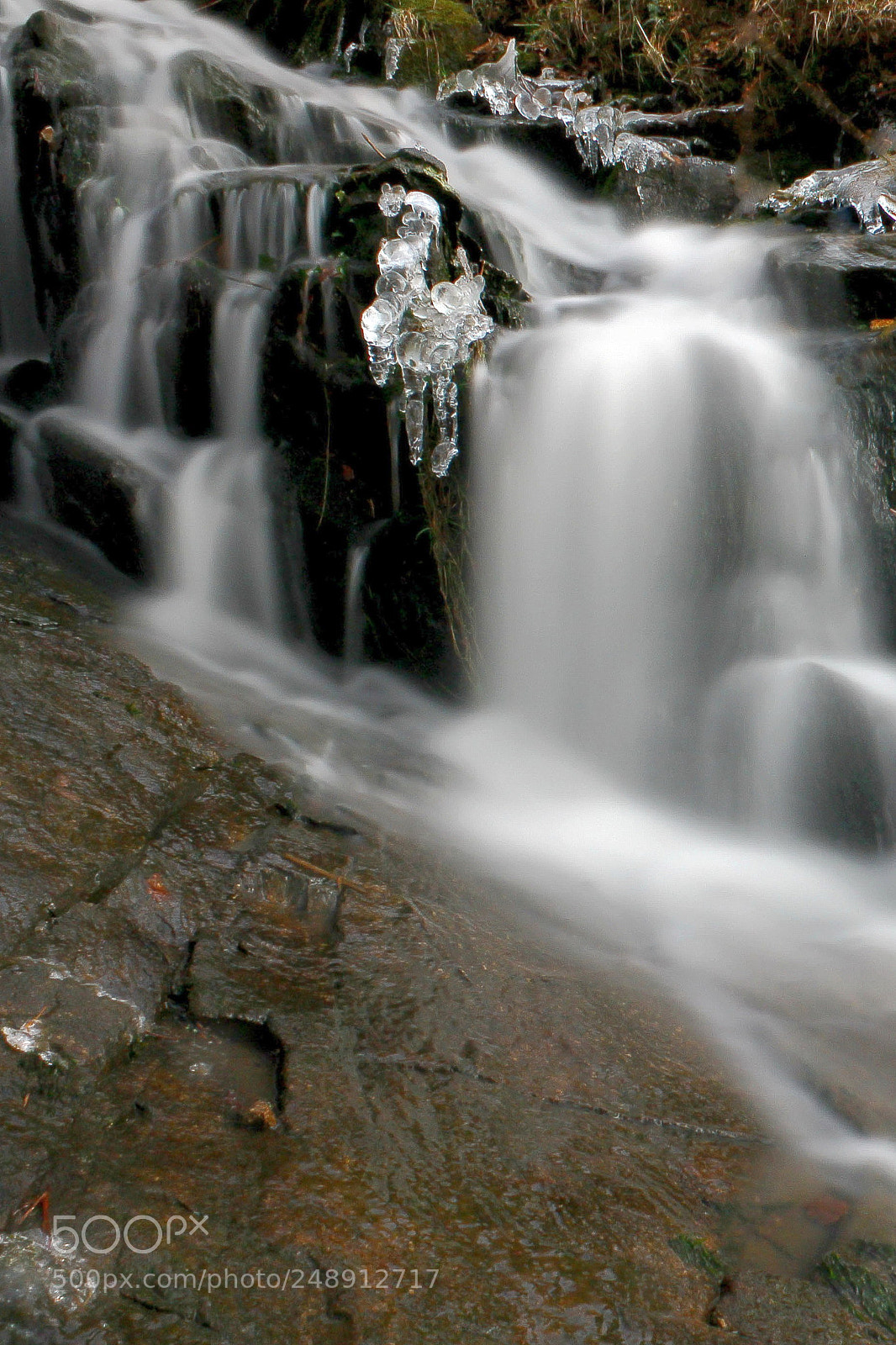 Canon EOS 1100D (EOS Rebel T3 / EOS Kiss X50) sample photo. Glace photography