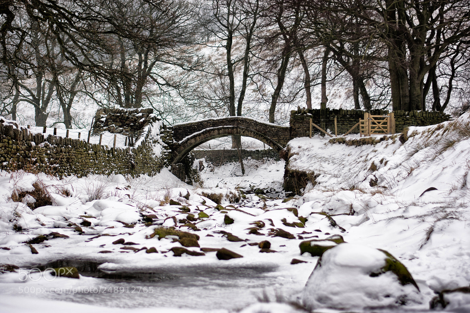 Nikon D7200 sample photo. Eastergate bridge photography