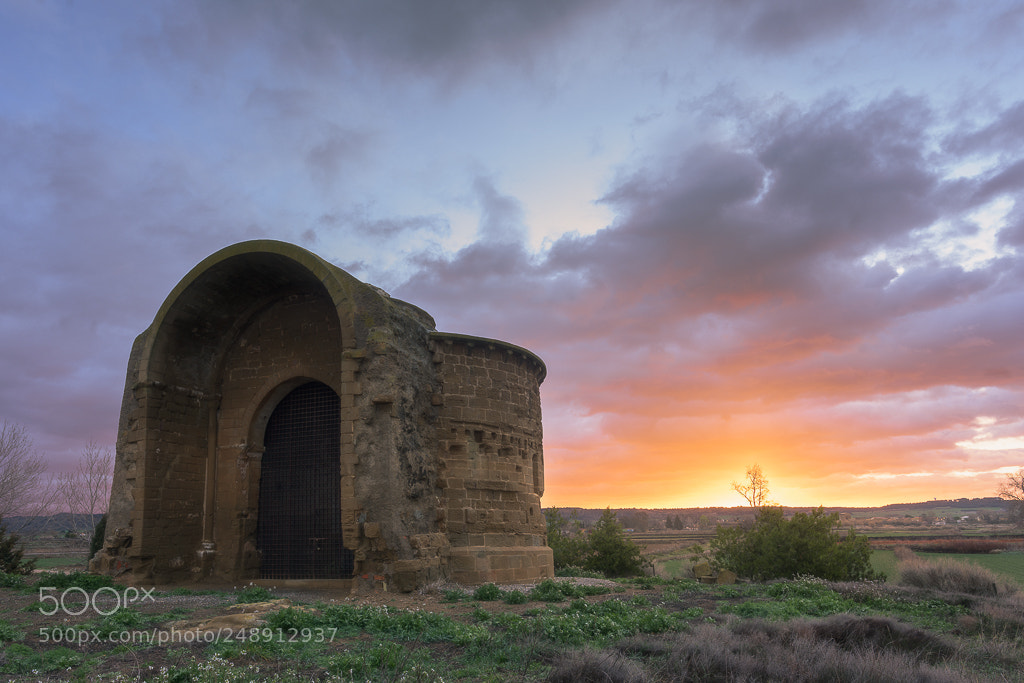 Nikon D810 sample photo. Ntra sra de los photography