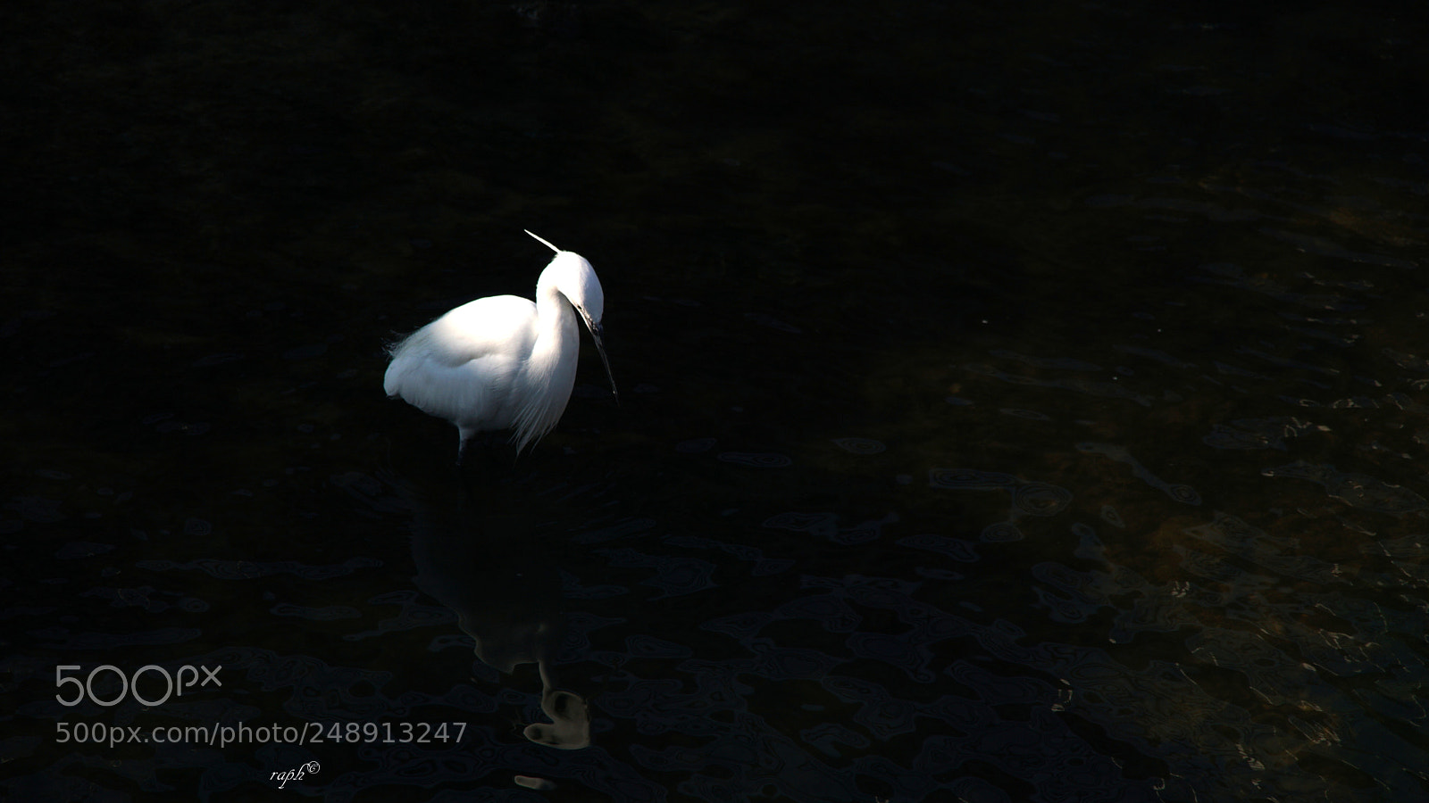Sony ILCA-77M2 sample photo. Sans modele photography