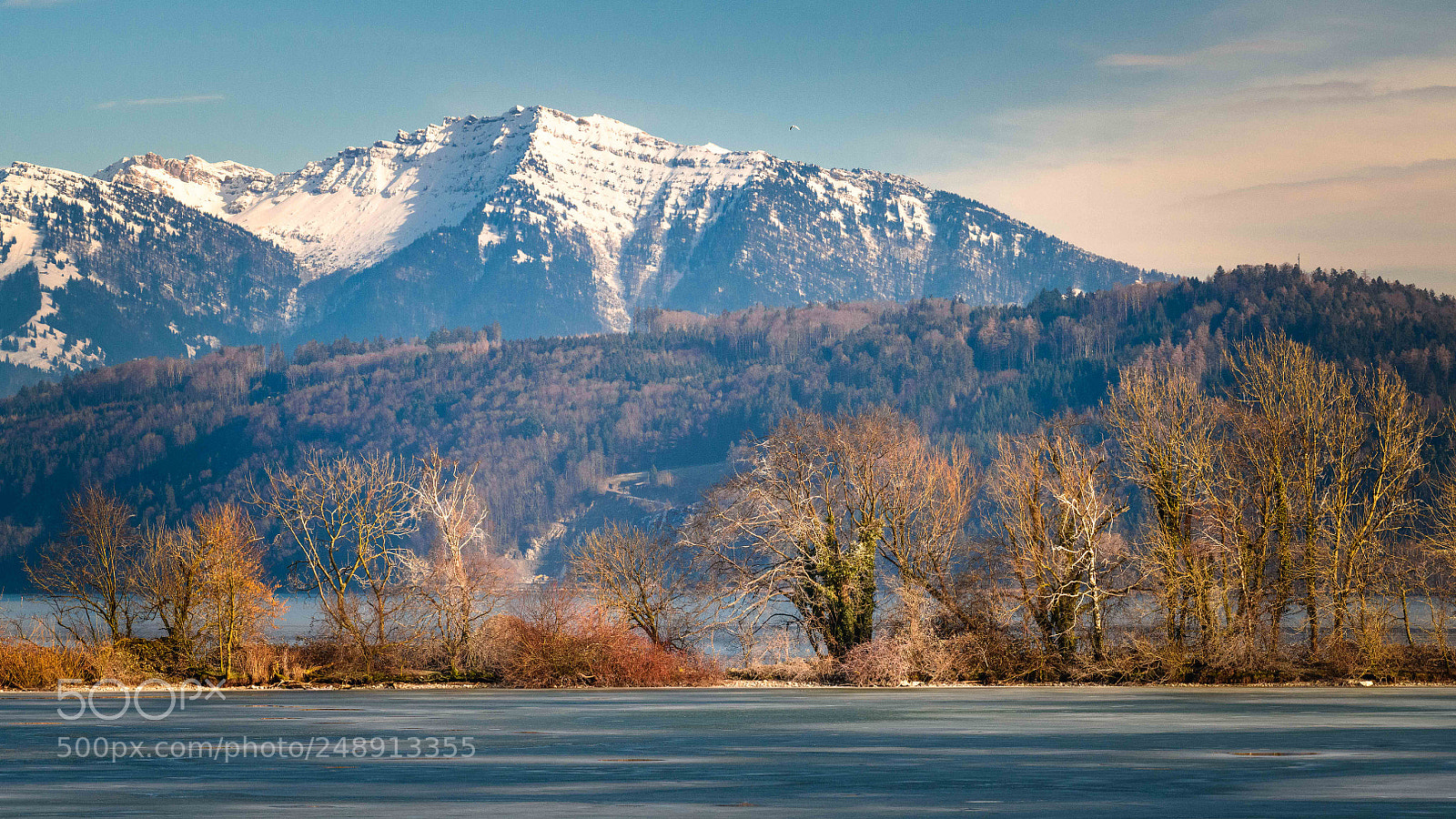 Nikon D850 sample photo. Zurich lake photography