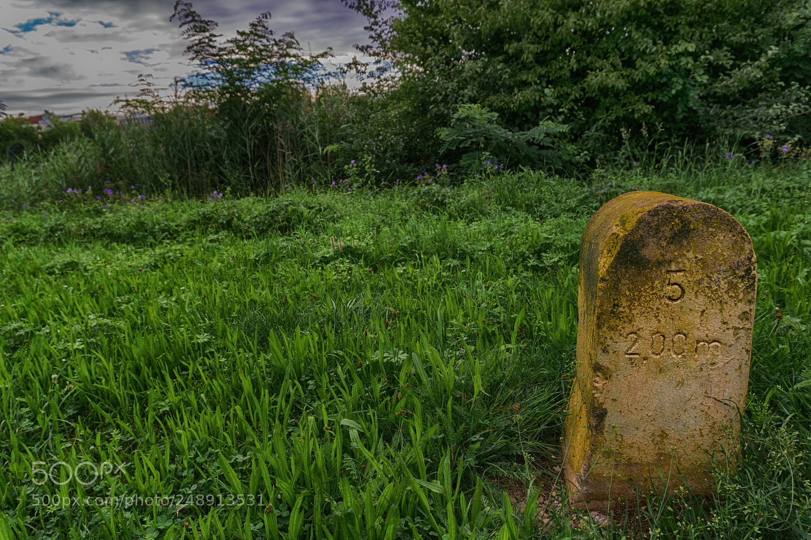 Sony a6000 sample photo. A mark stone in photography