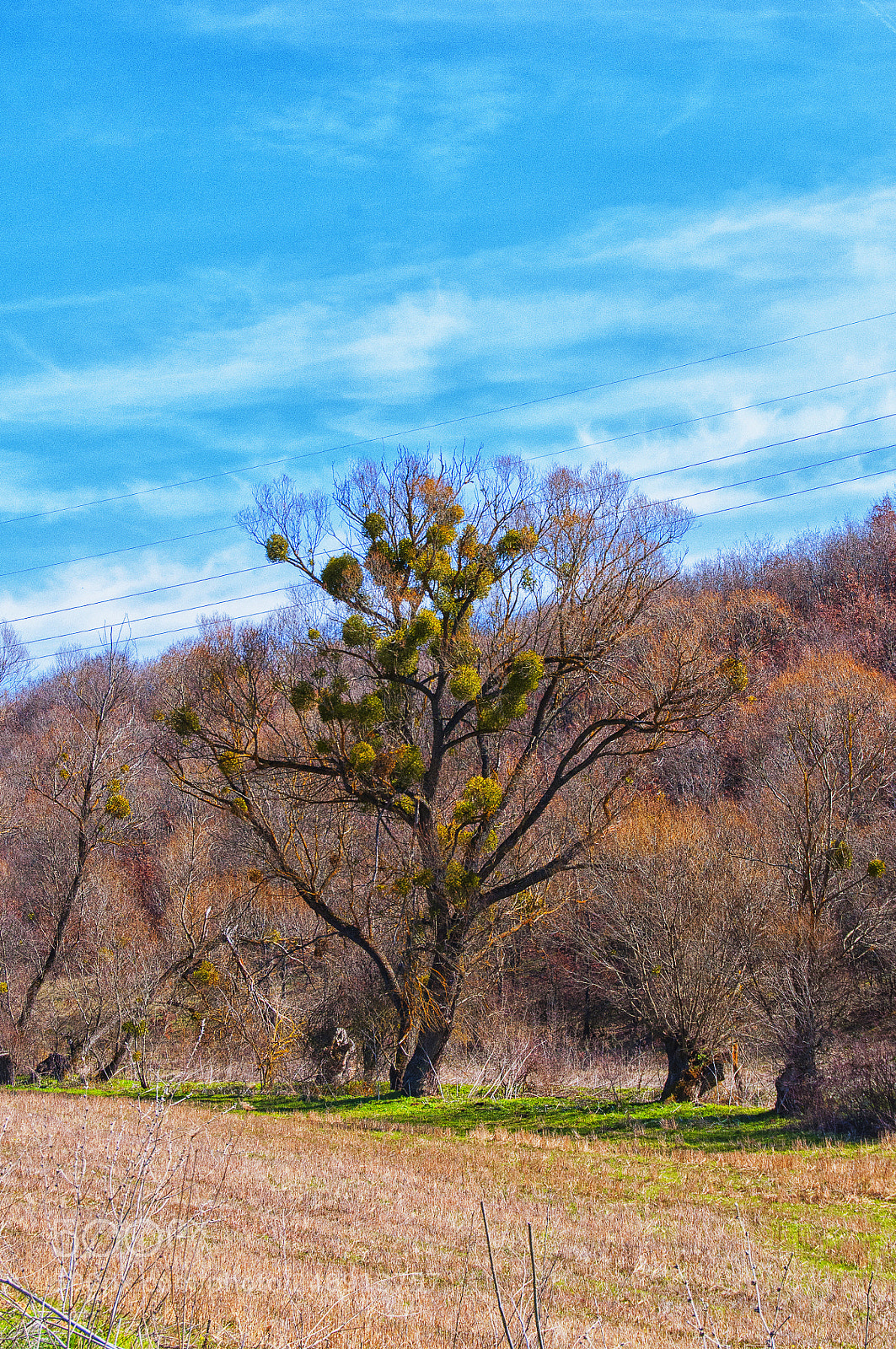 Nikon D90 sample photo. Untitled photography