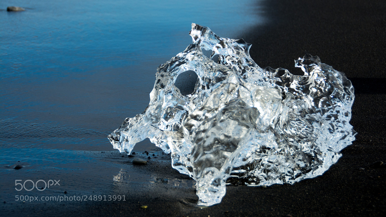 Nikon D7100 sample photo. Icy sea horse photography