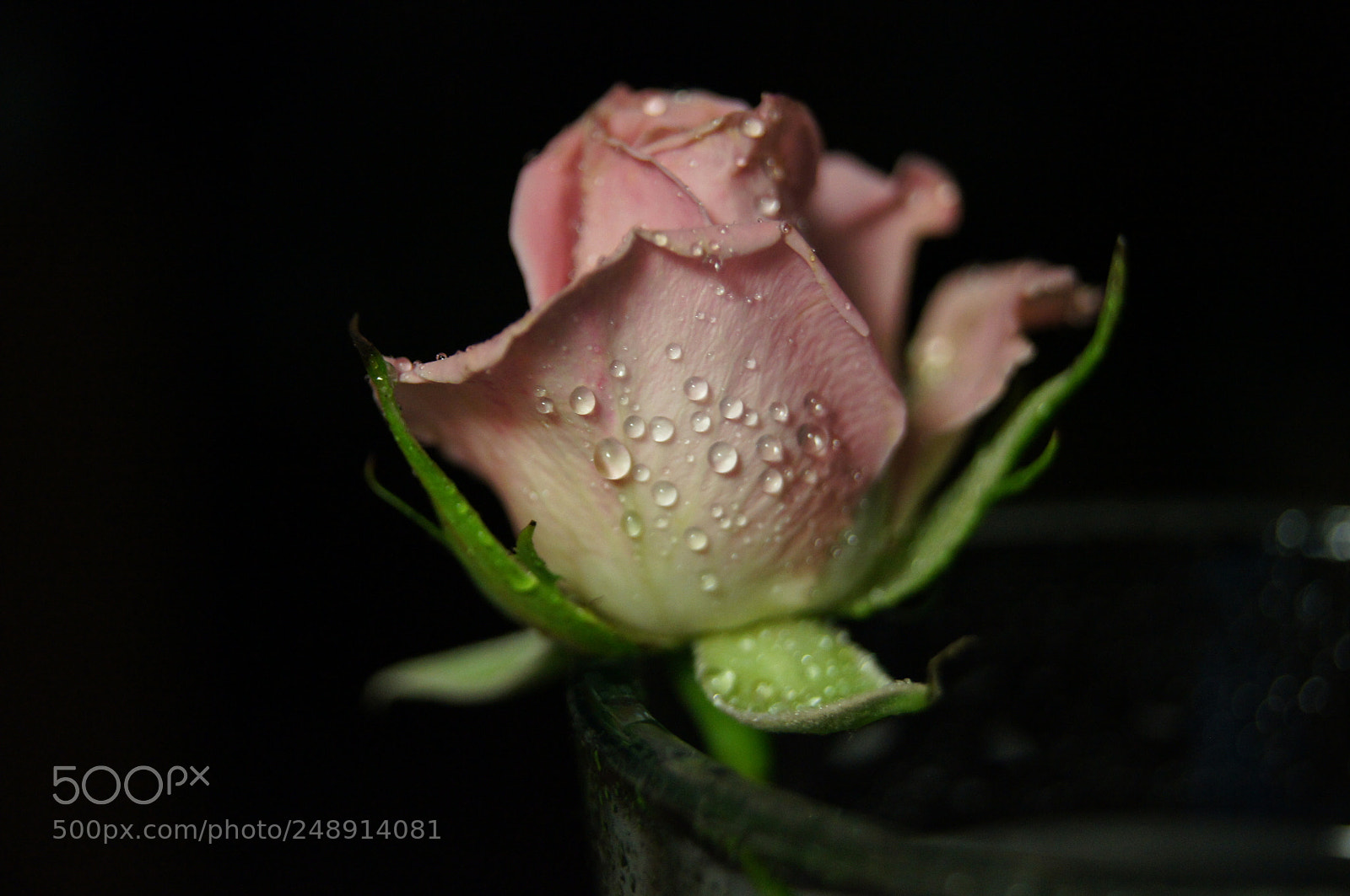 Sony Alpha DSLR-A580 sample photo. Gonca photography