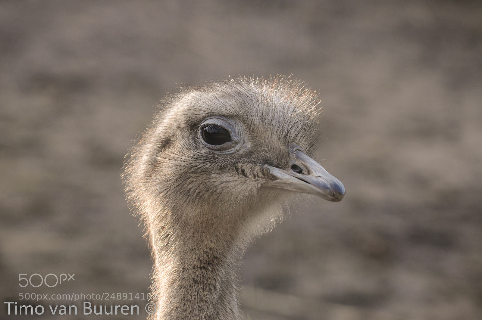 Nikon D90 sample photo. 'sup photography