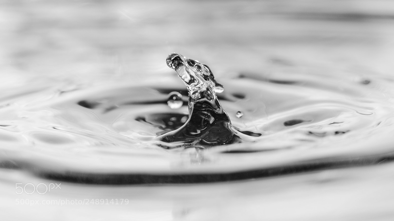 Nikon D7000 sample photo. Une transformation photography
