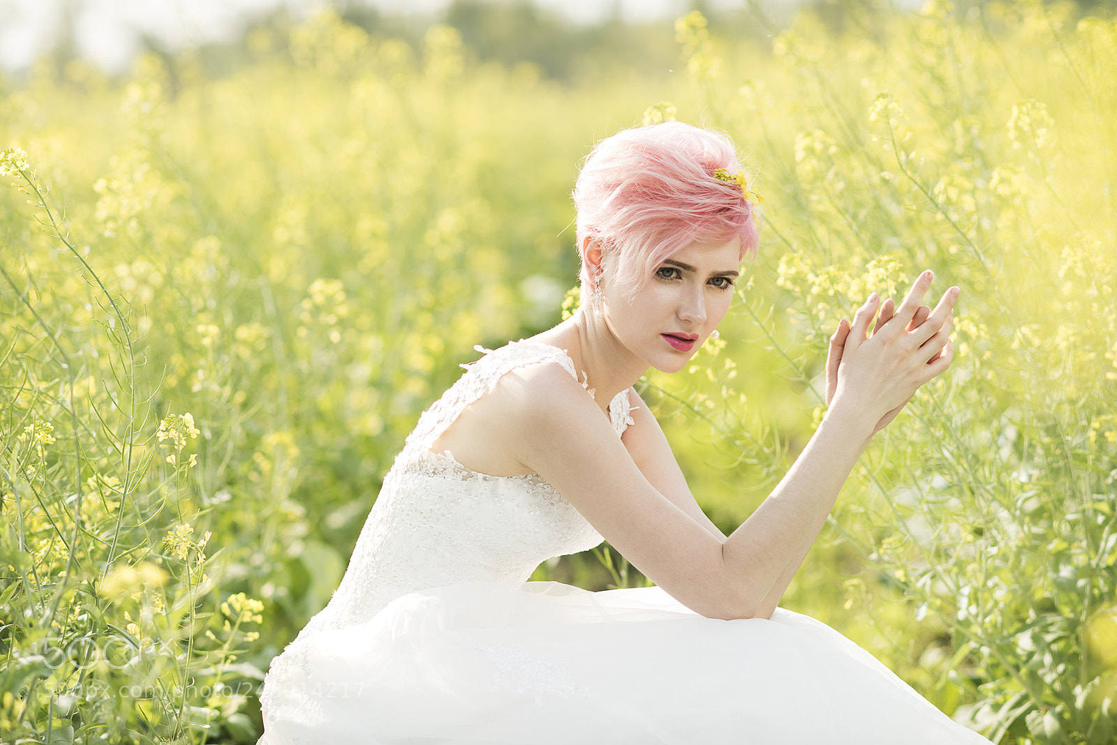 Nikon D810 sample photo. Yellow flowers photography