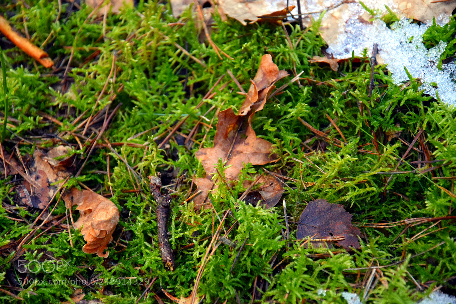 Nikon D5300 sample photo. Dsc photography