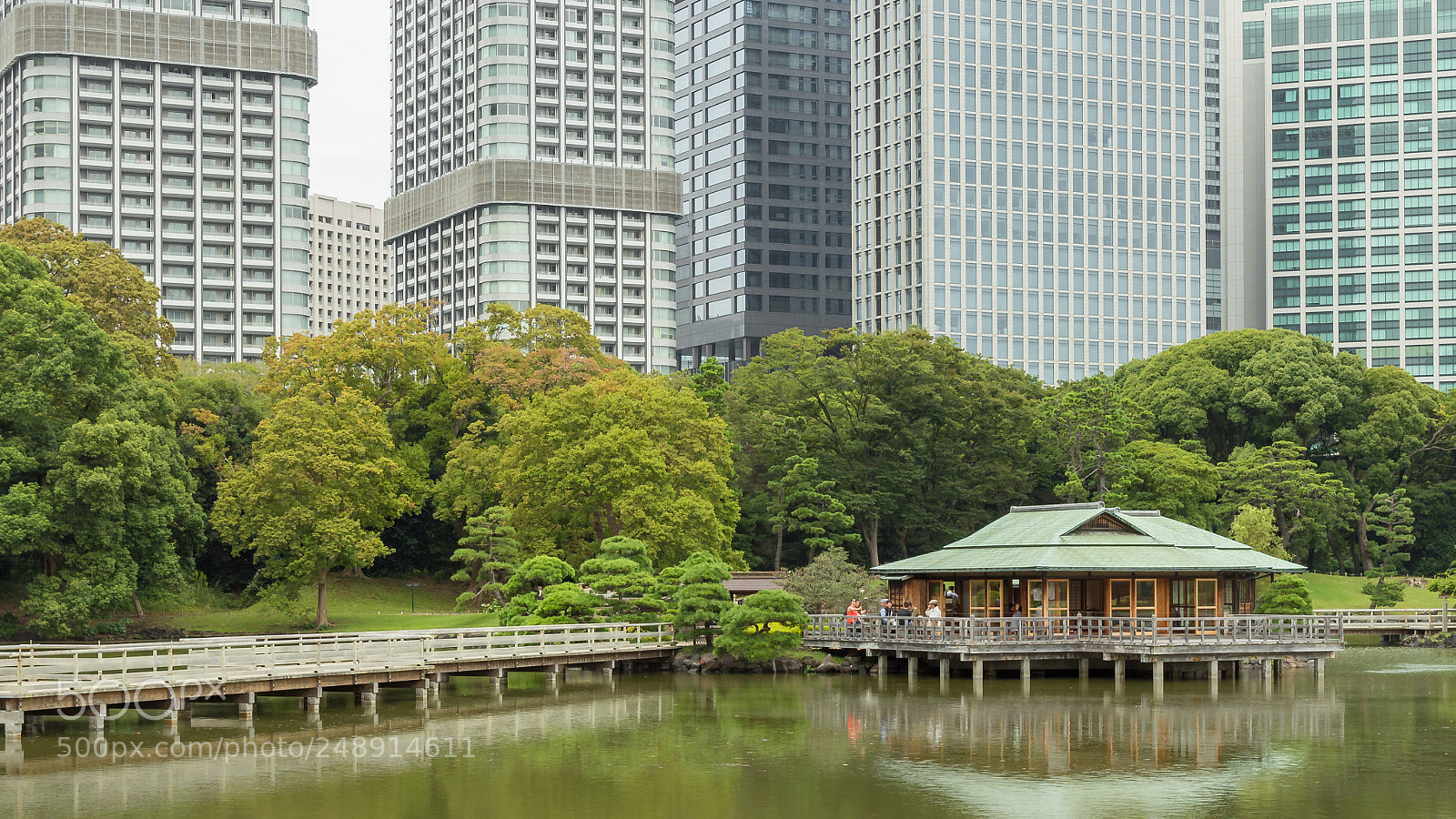 Canon EOS 650D (EOS Rebel T4i / EOS Kiss X6i) sample photo. Tokyo // city & nature photography