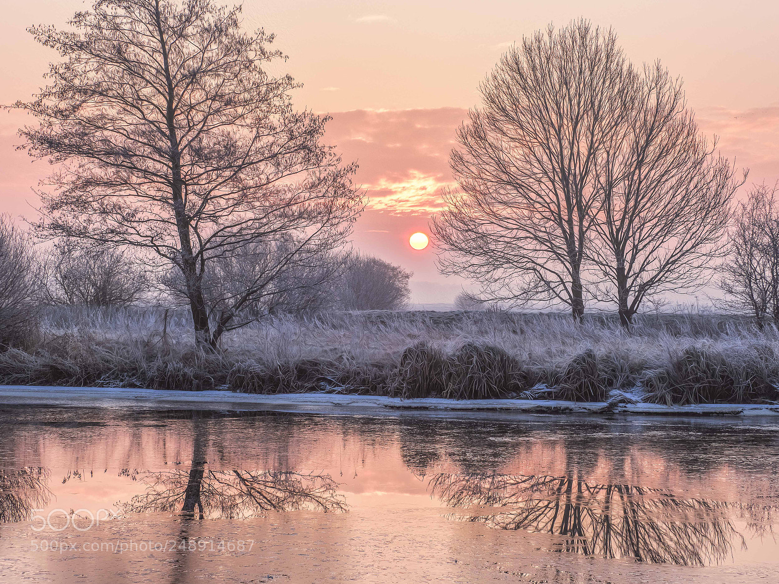 Olympus OM-D E-M1 Mark II sample photo. Frozen morning iv photography