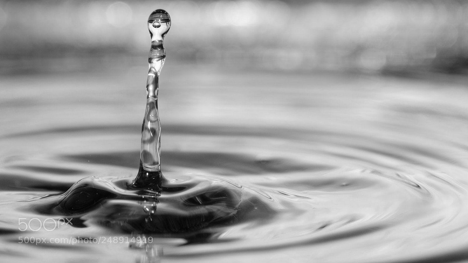 Nikon D7000 sample photo. Splash photography