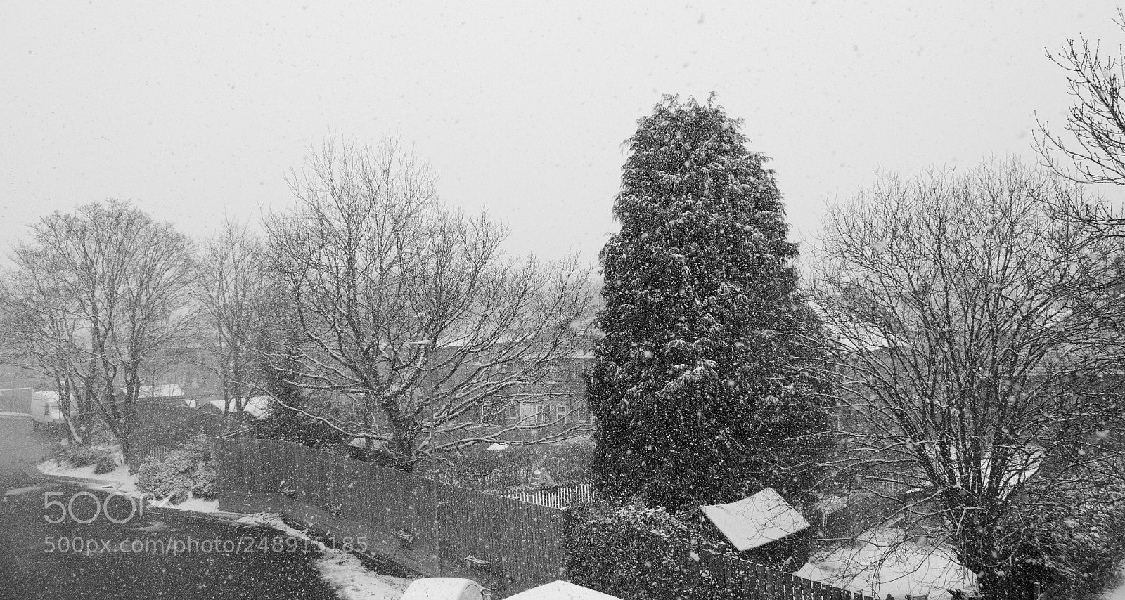Nikon D3100 sample photo. Beauty of snow photography