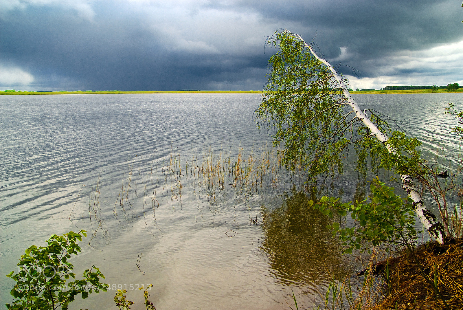 Fujifilm FinePix S3 Pro sample photo. After a thunderstorm photography
