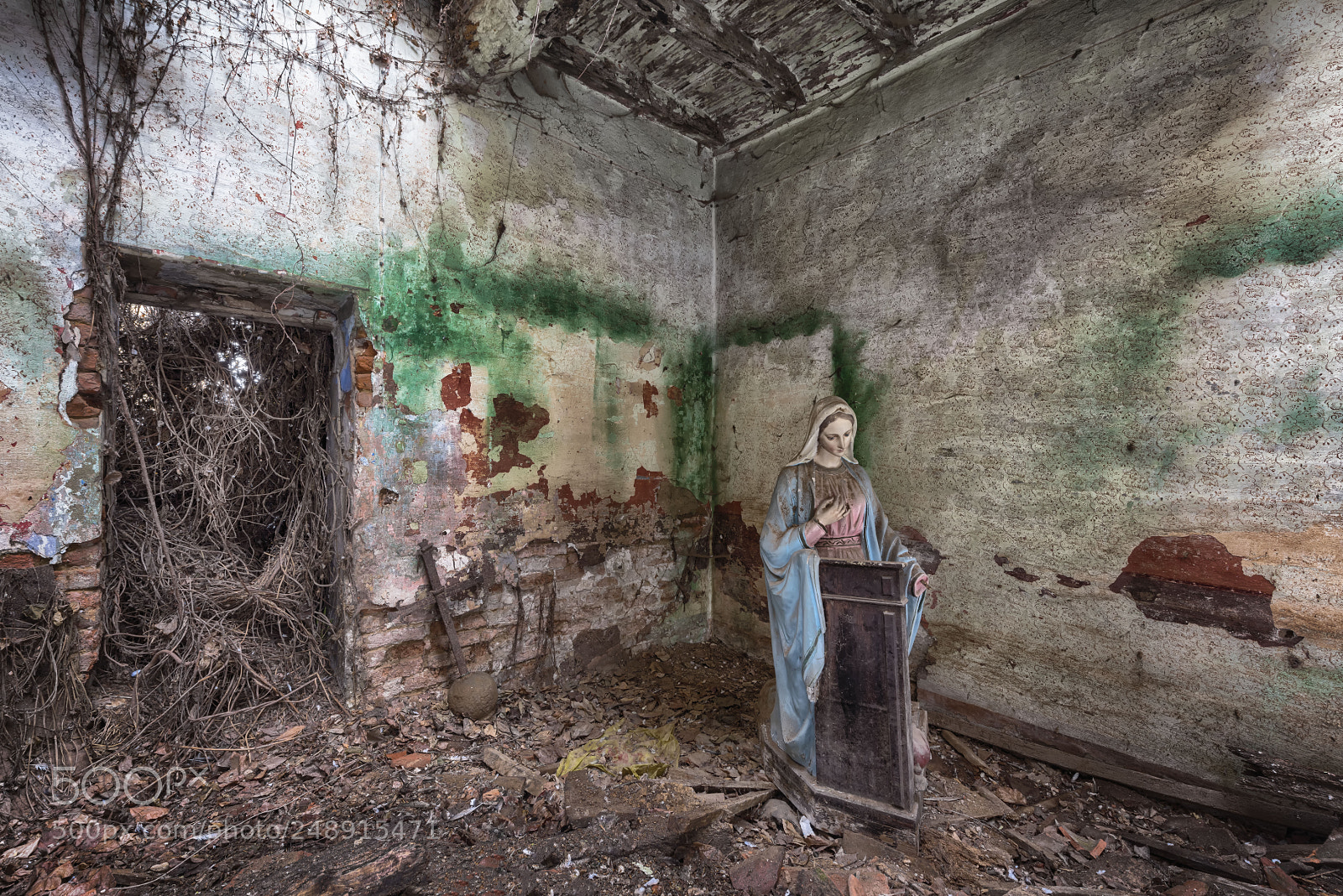 Nikon D810 sample photo. Madonna photography