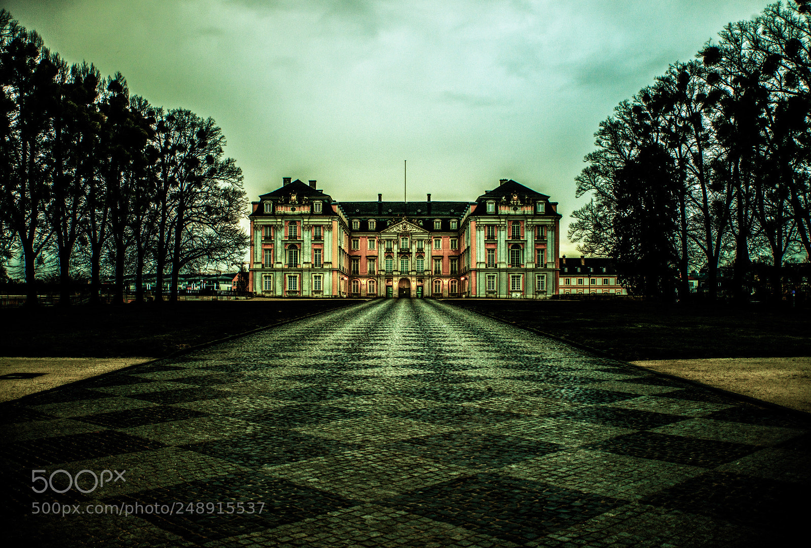 Nikon D800 sample photo. Schloß brühl - 3 photography