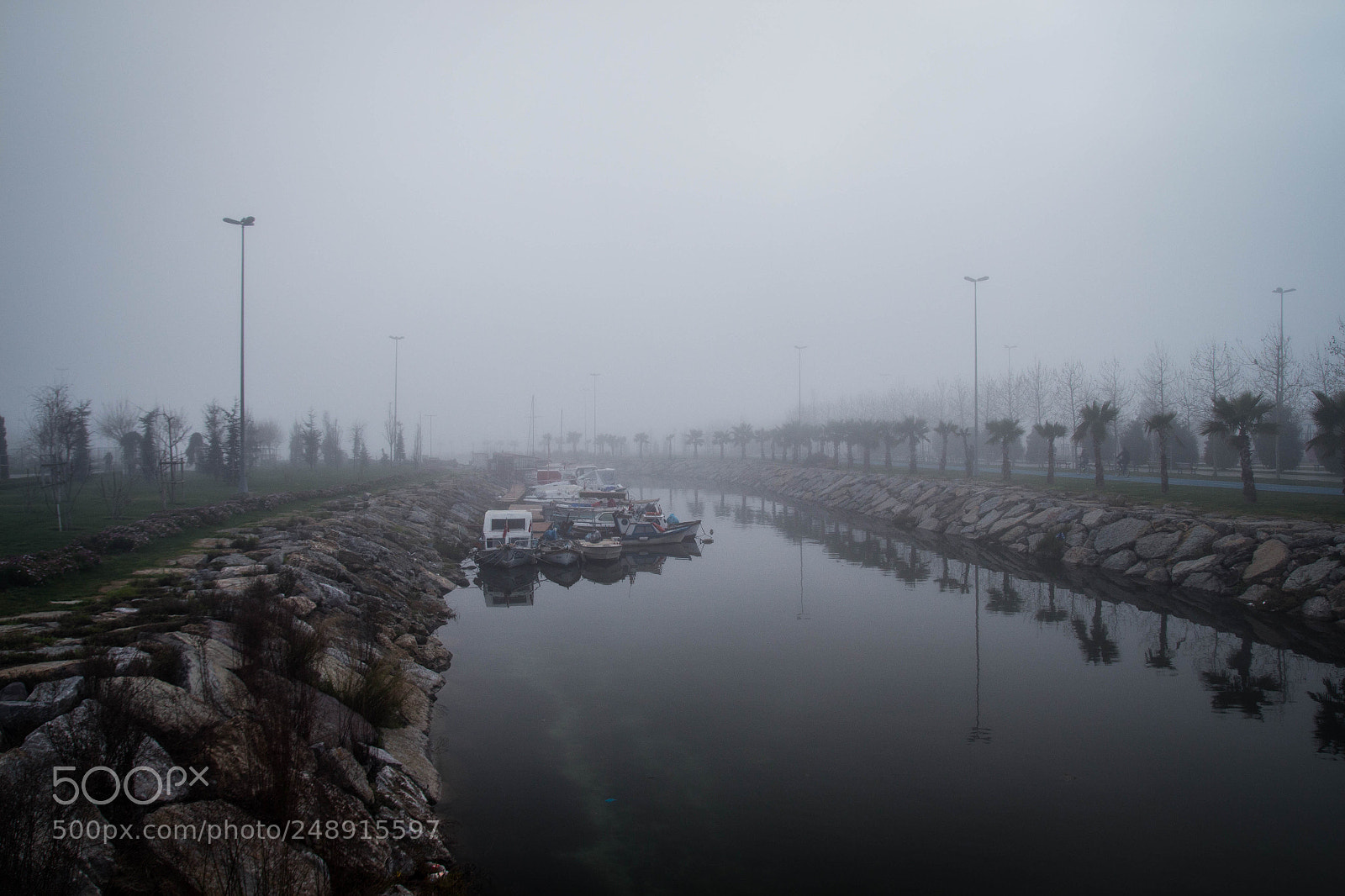 Canon EOS 700D (EOS Rebel T5i / EOS Kiss X7i) sample photo. A foggy day photography