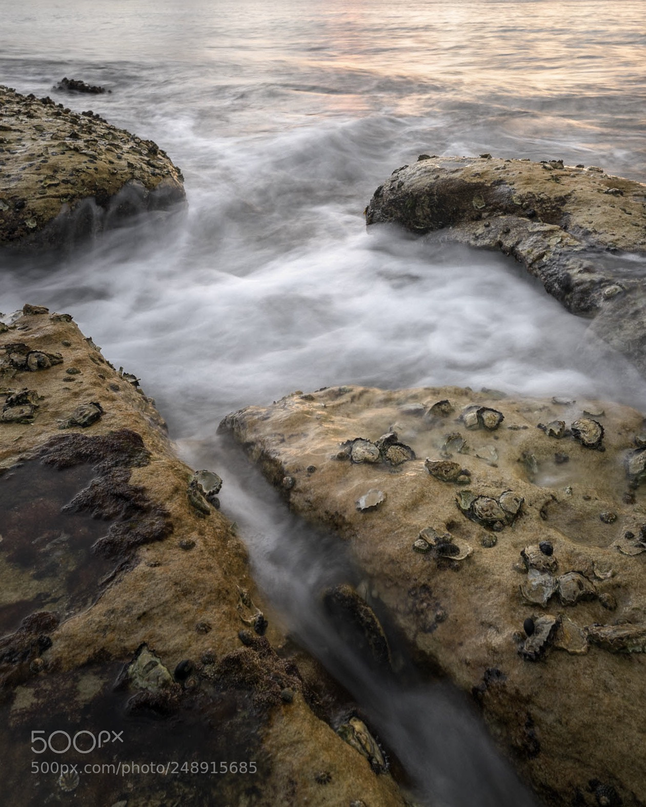 Leica SL (Typ 601) sample photo. Camp cove beach, sydney photography