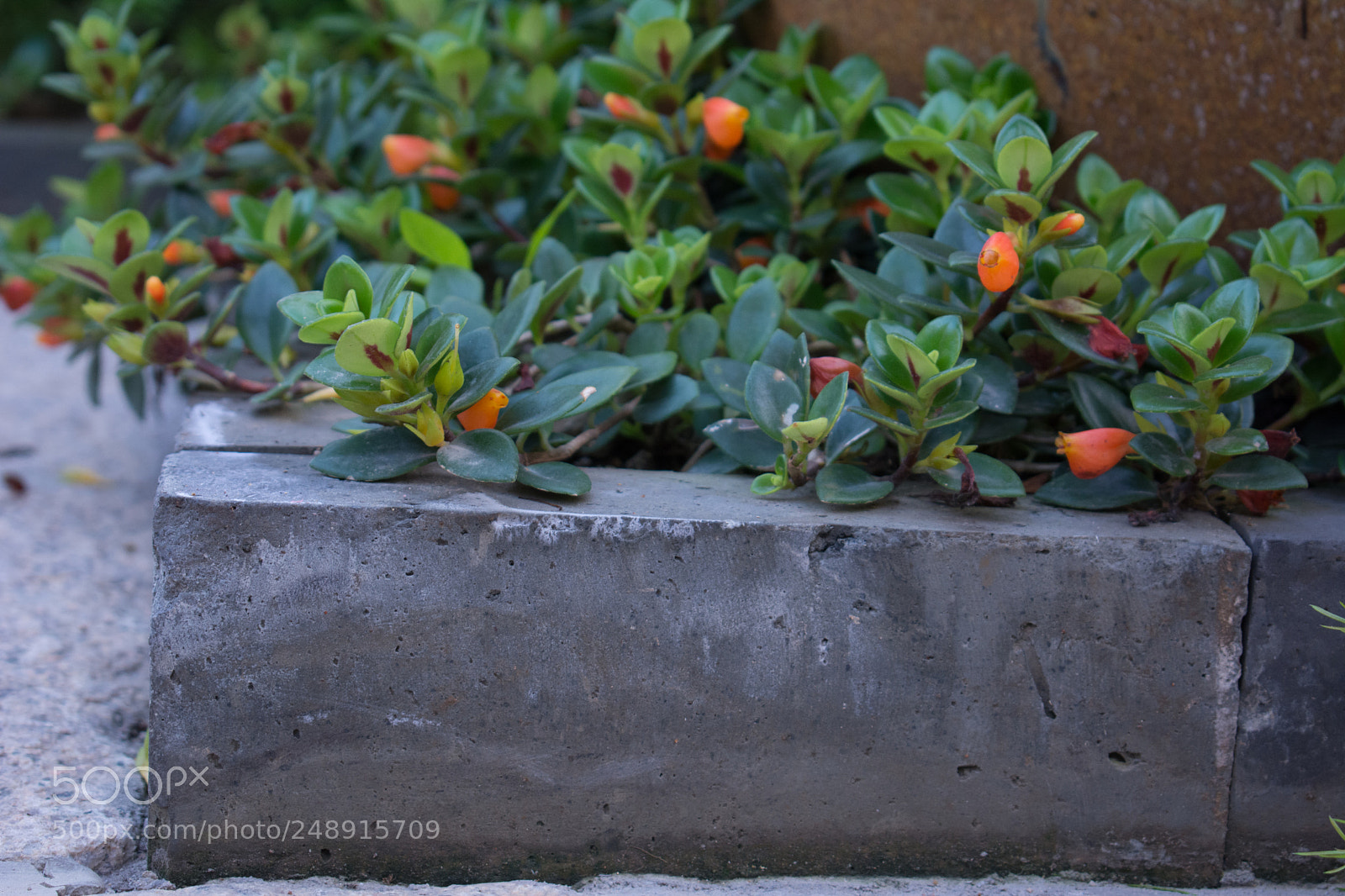 Nikon D7100 sample photo. Untitled photography