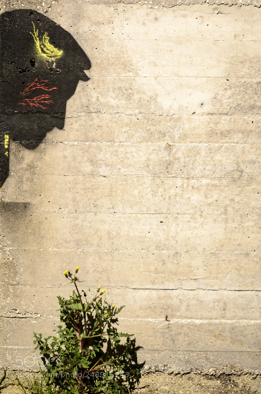 Nikon D5100 sample photo. Una sombra que se photography