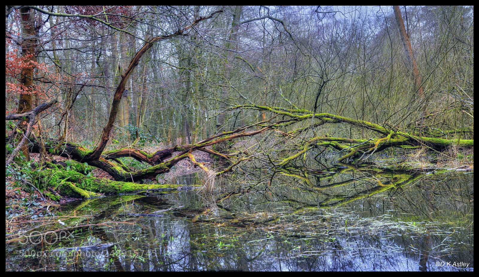 Nikon D300 sample photo. The last resting place photography
