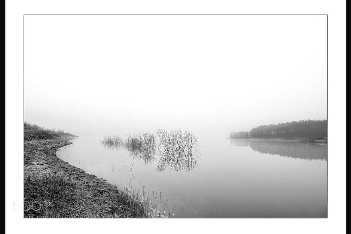 Nikon D810 sample photo. 복사 photography