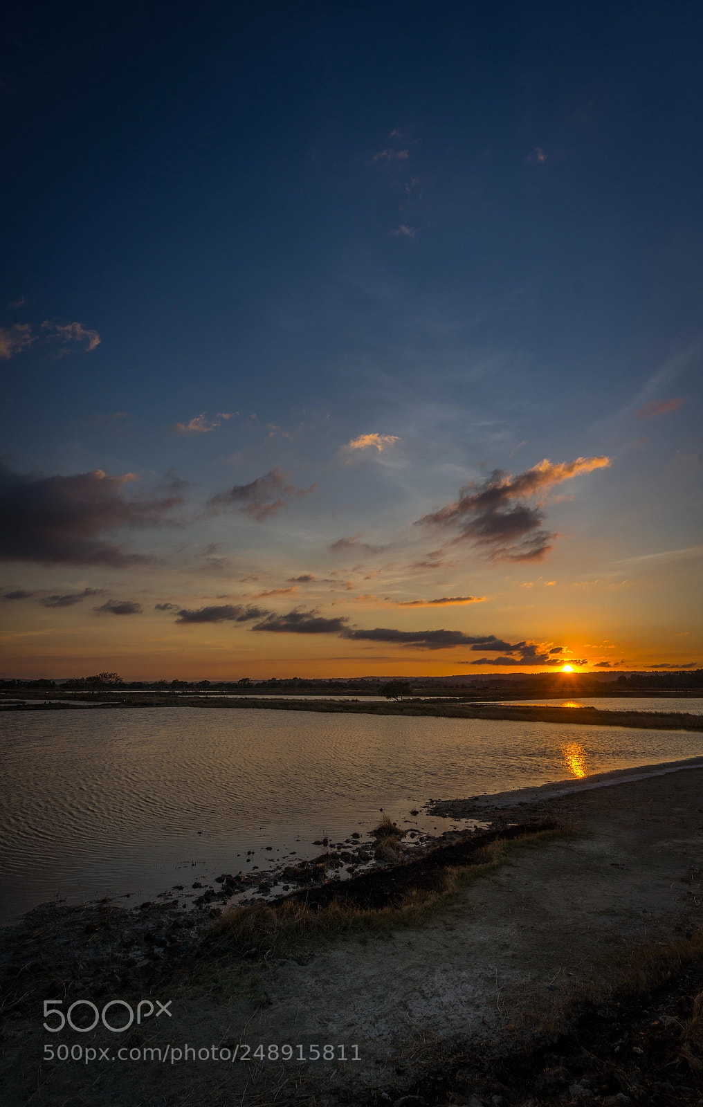 Sony a7 II sample photo. Mangrove sunset photography
