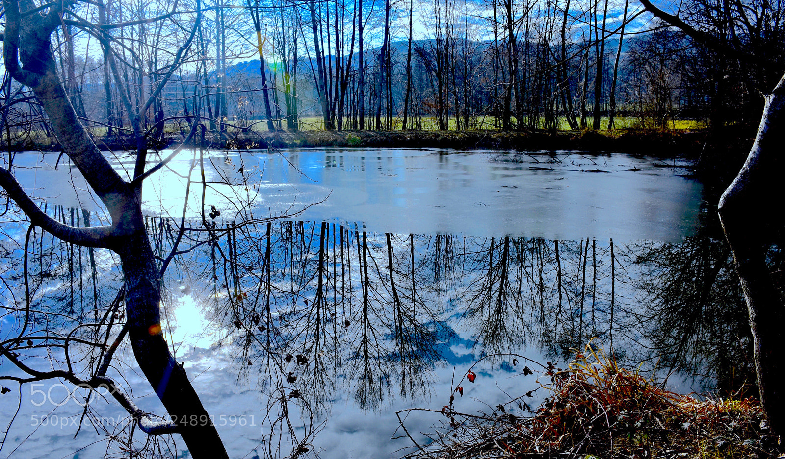 Nikon D7200 sample photo. Frost photography