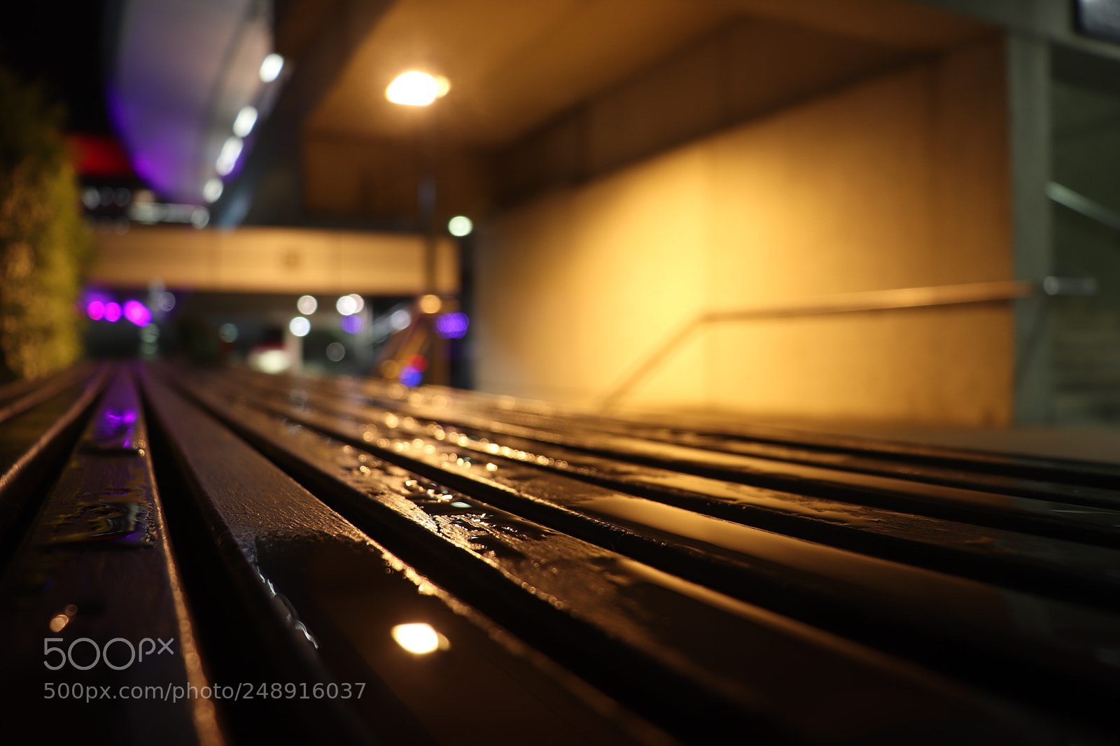 Canon EOS 200D (EOS Rebel SL2 / EOS Kiss X9) sample photo. Bench and night photography