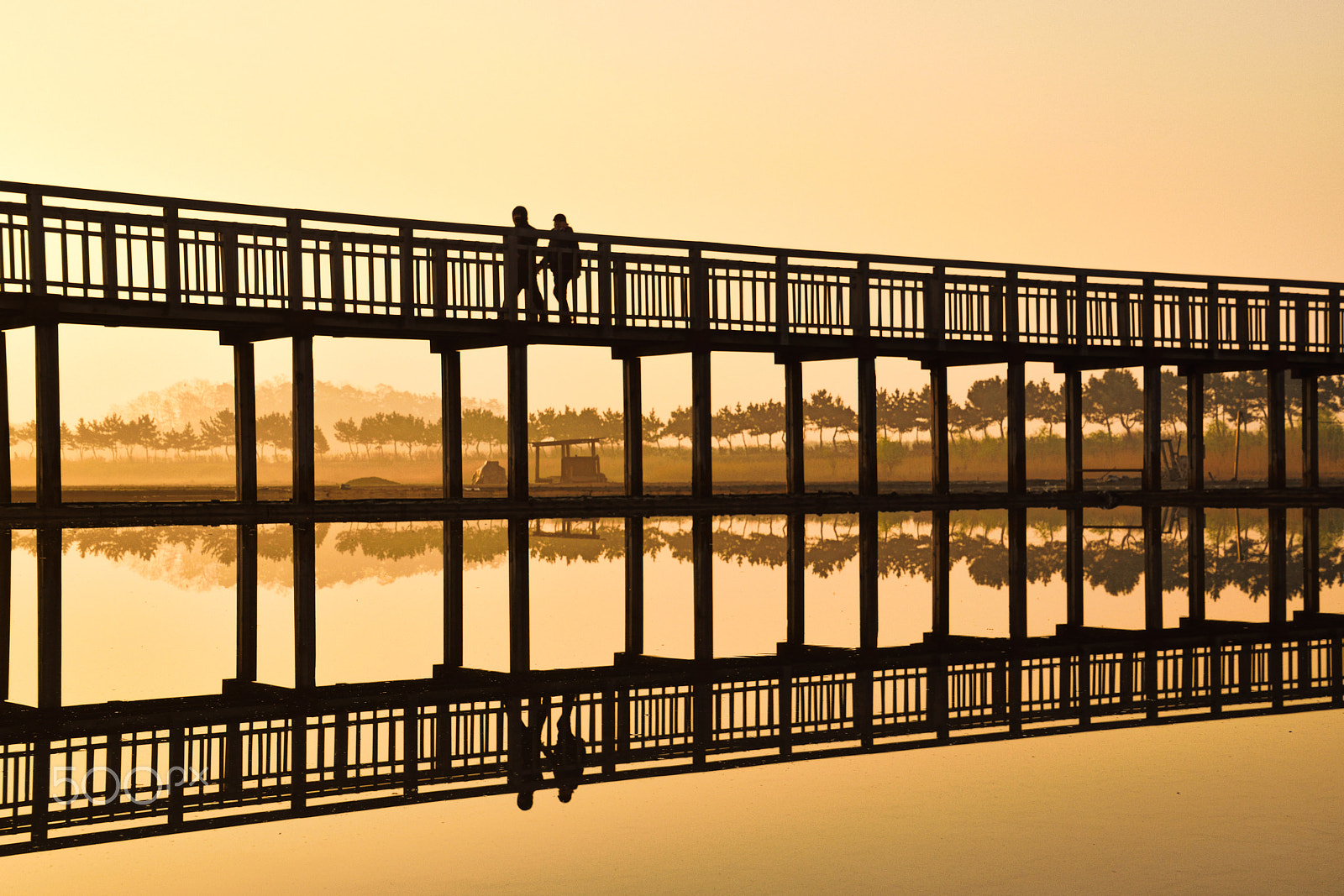 Nikon D5500 sample photo. Reflection photography