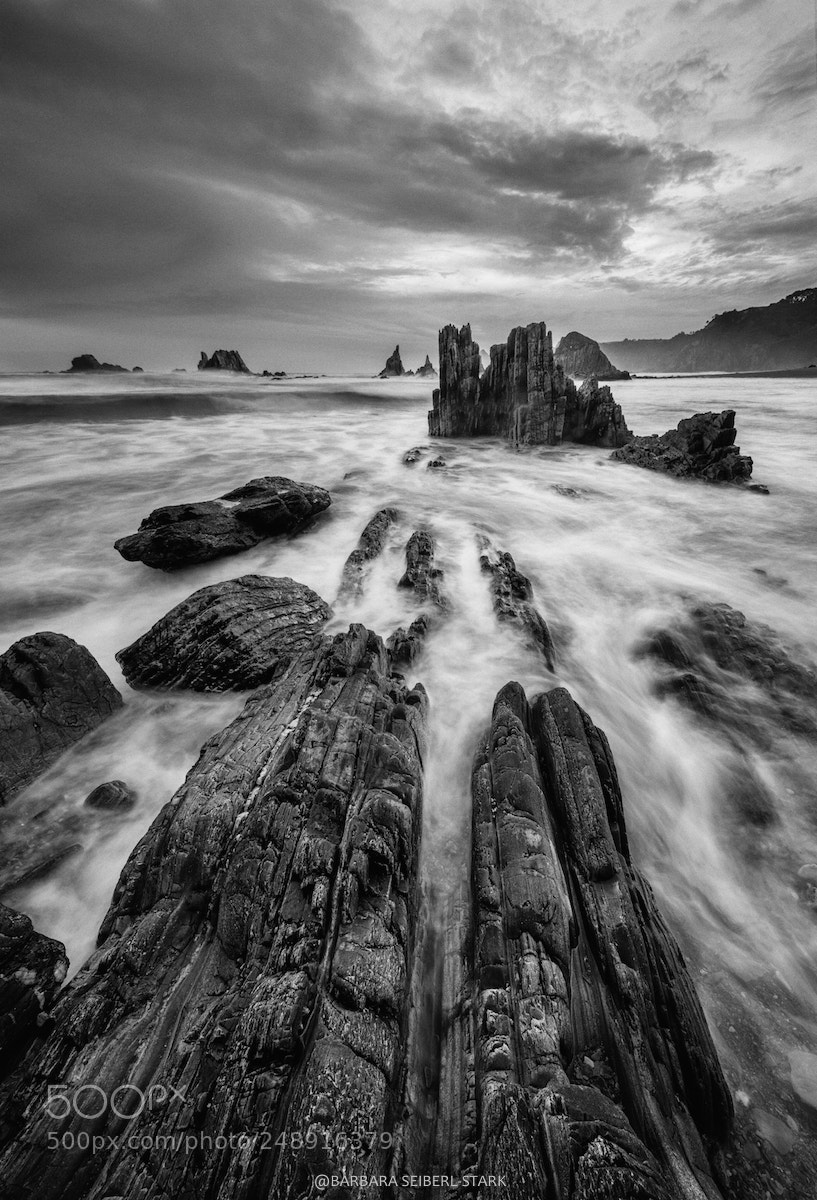 Nikon D810 sample photo. Waves photography
