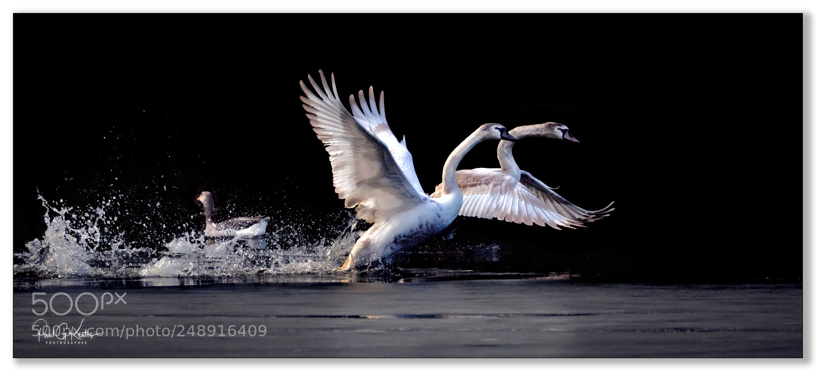 Fujifilm X-T2 sample photo. Fun flight .... photography