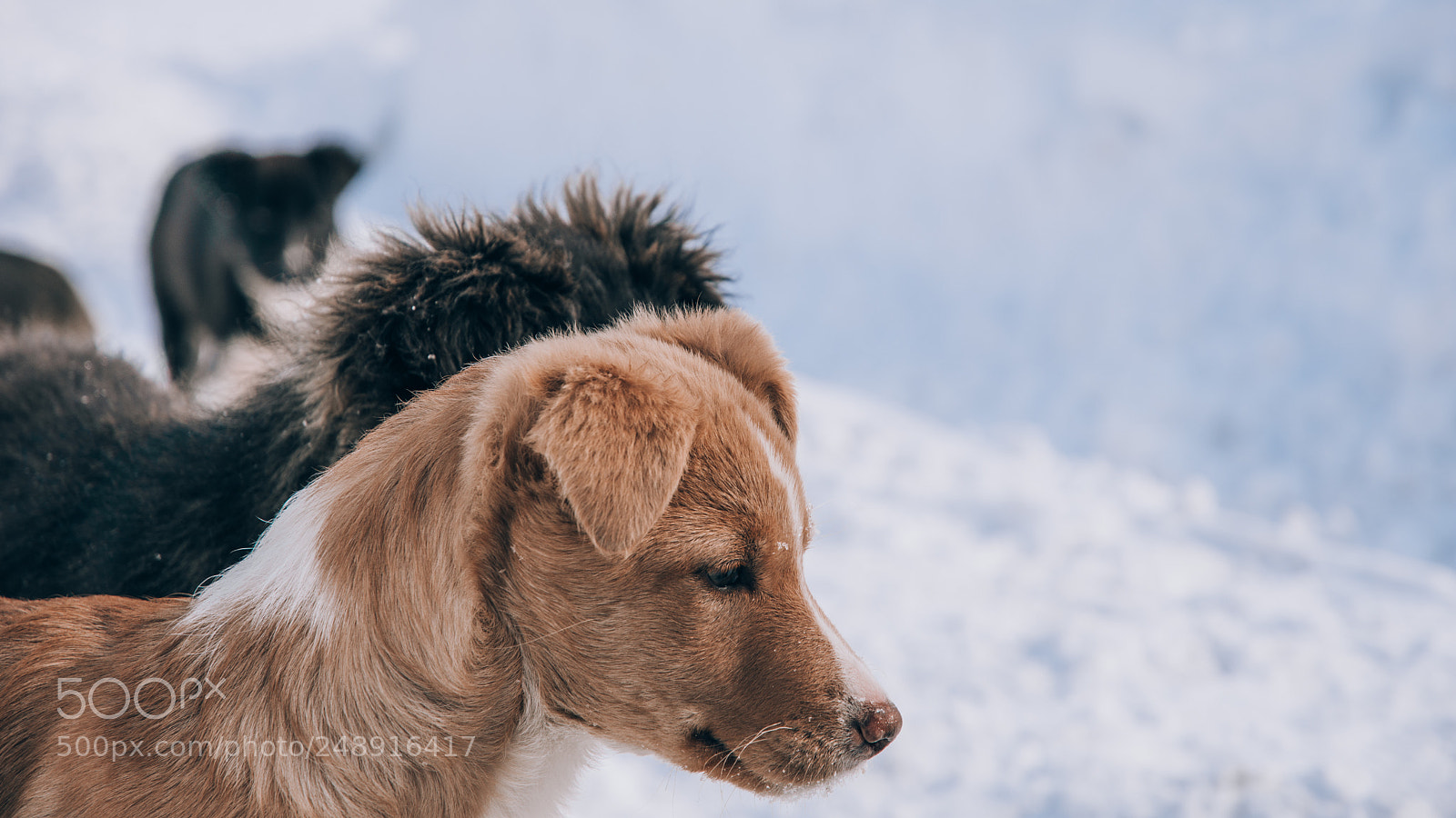 Nikon D7200 sample photo. Current mood photography