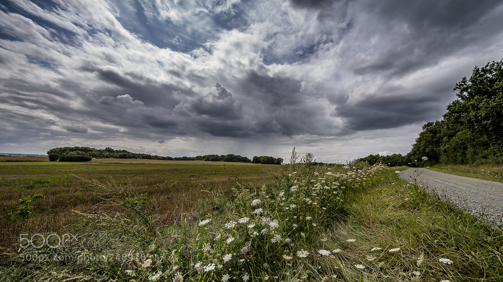 Nikon D610 sample photo. Beautiful light in the photography