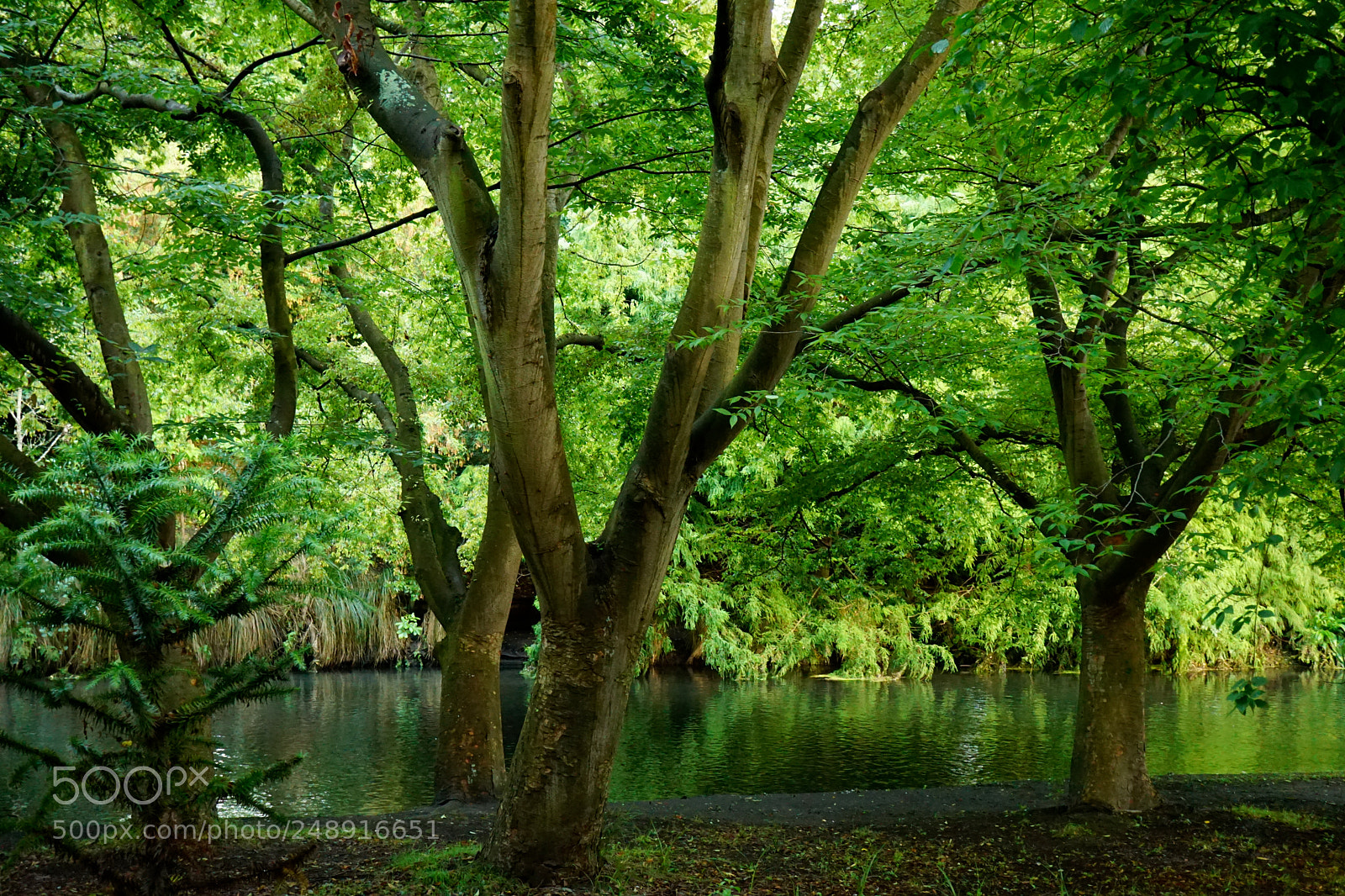 Sony a6000 sample photo. Dsc photography