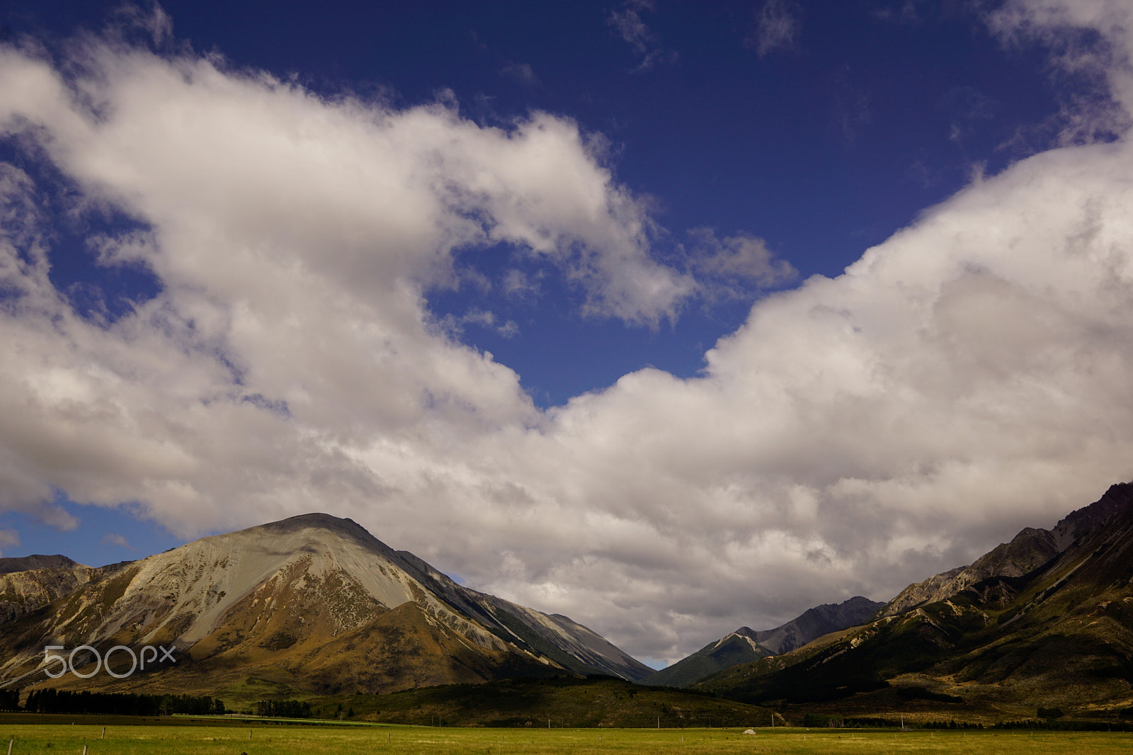 Sony a6000 + Sigma 19mm F2.8 EX DN sample photo. Dsc photography