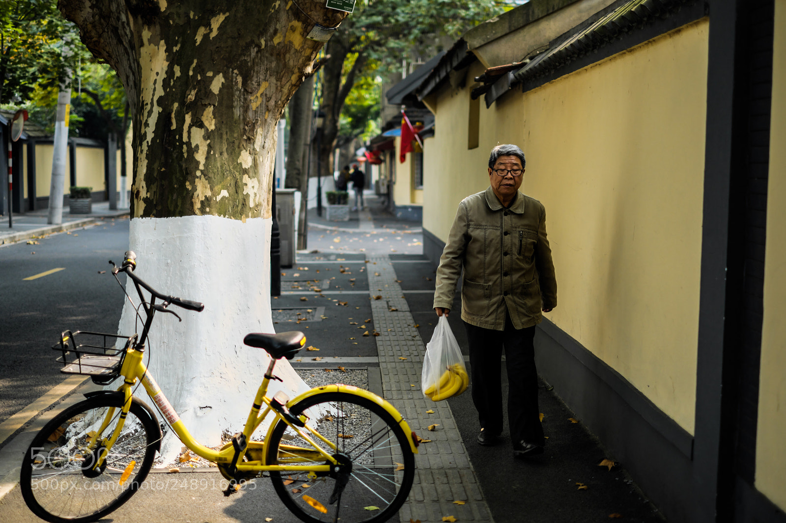 Fujifilm X-Pro2 sample photo. Yellow photography
