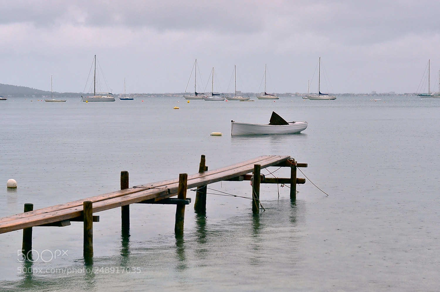 Nikon D7000 sample photo. Untitled photography