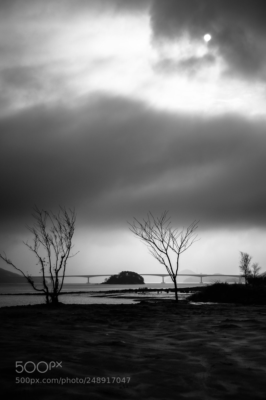 Nikon D700 sample photo. Cloudy winter morning photography