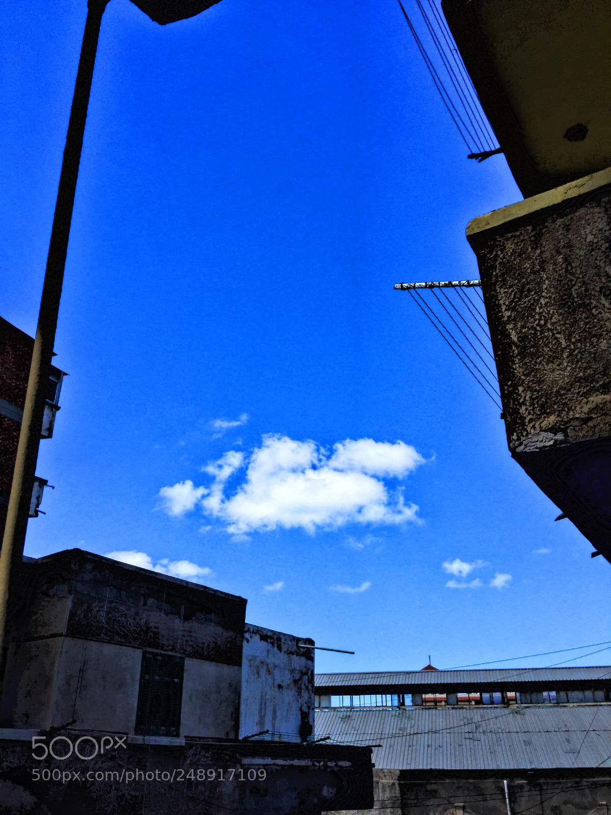 Apple iPhone 6 Plus sample photo. Untitled photography