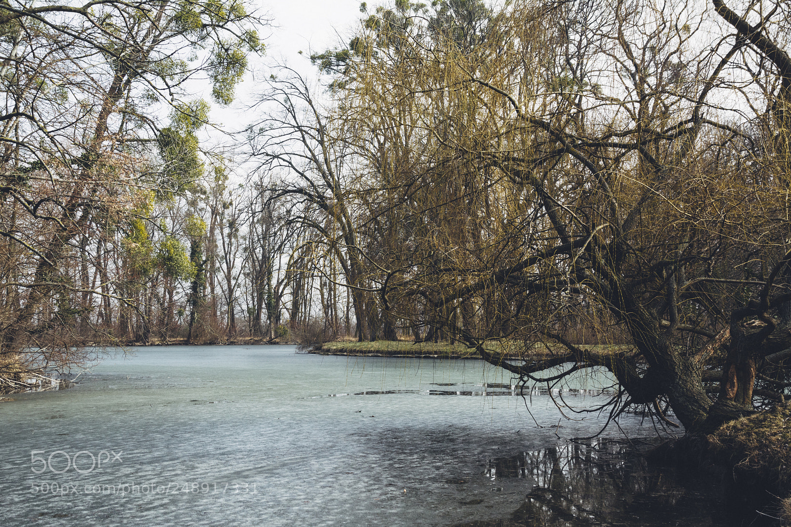 Nikon D7100 sample photo. Transition photography