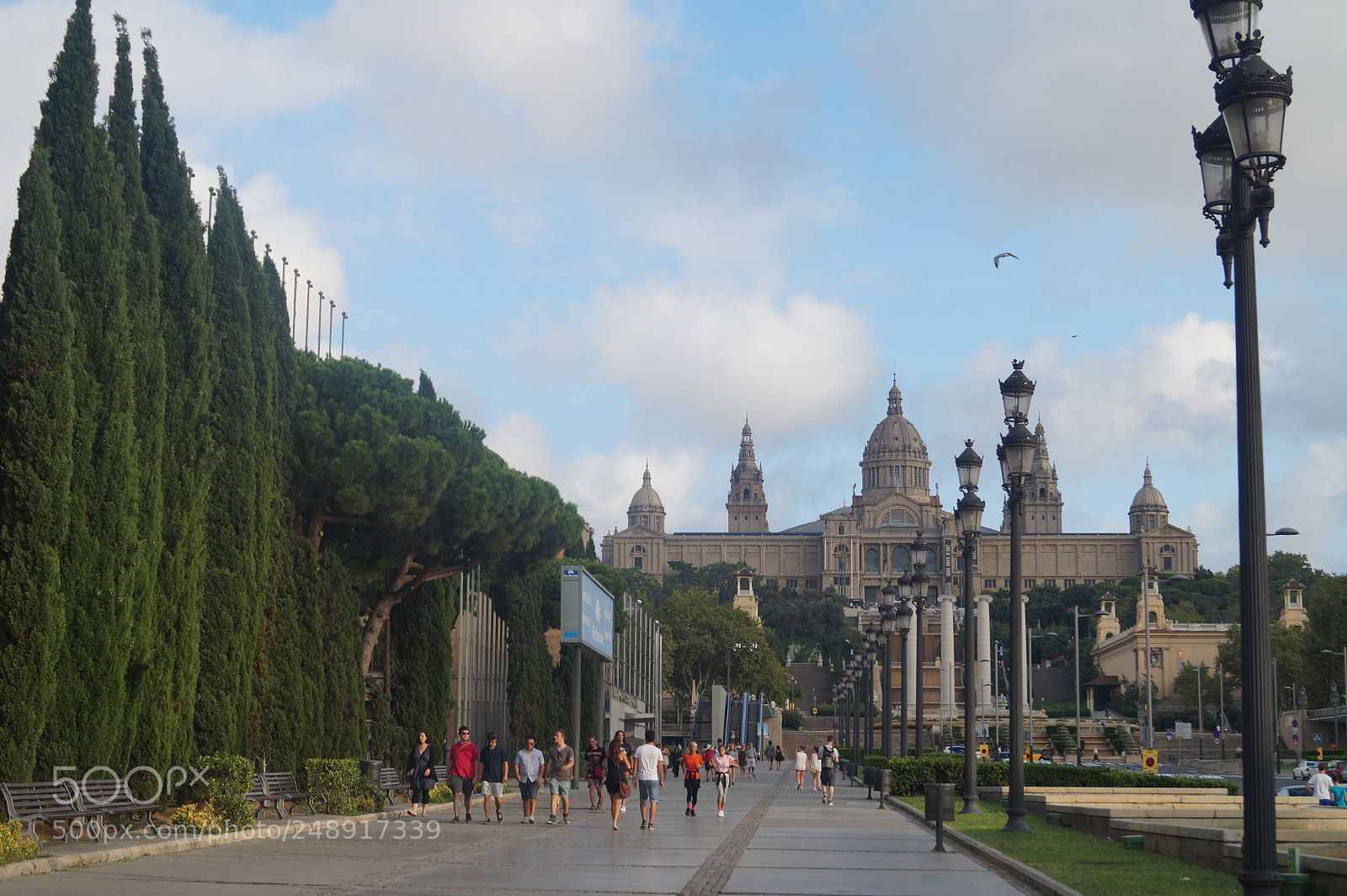 Sony SLT-A58 sample photo. Hermosa madrid!! photography
